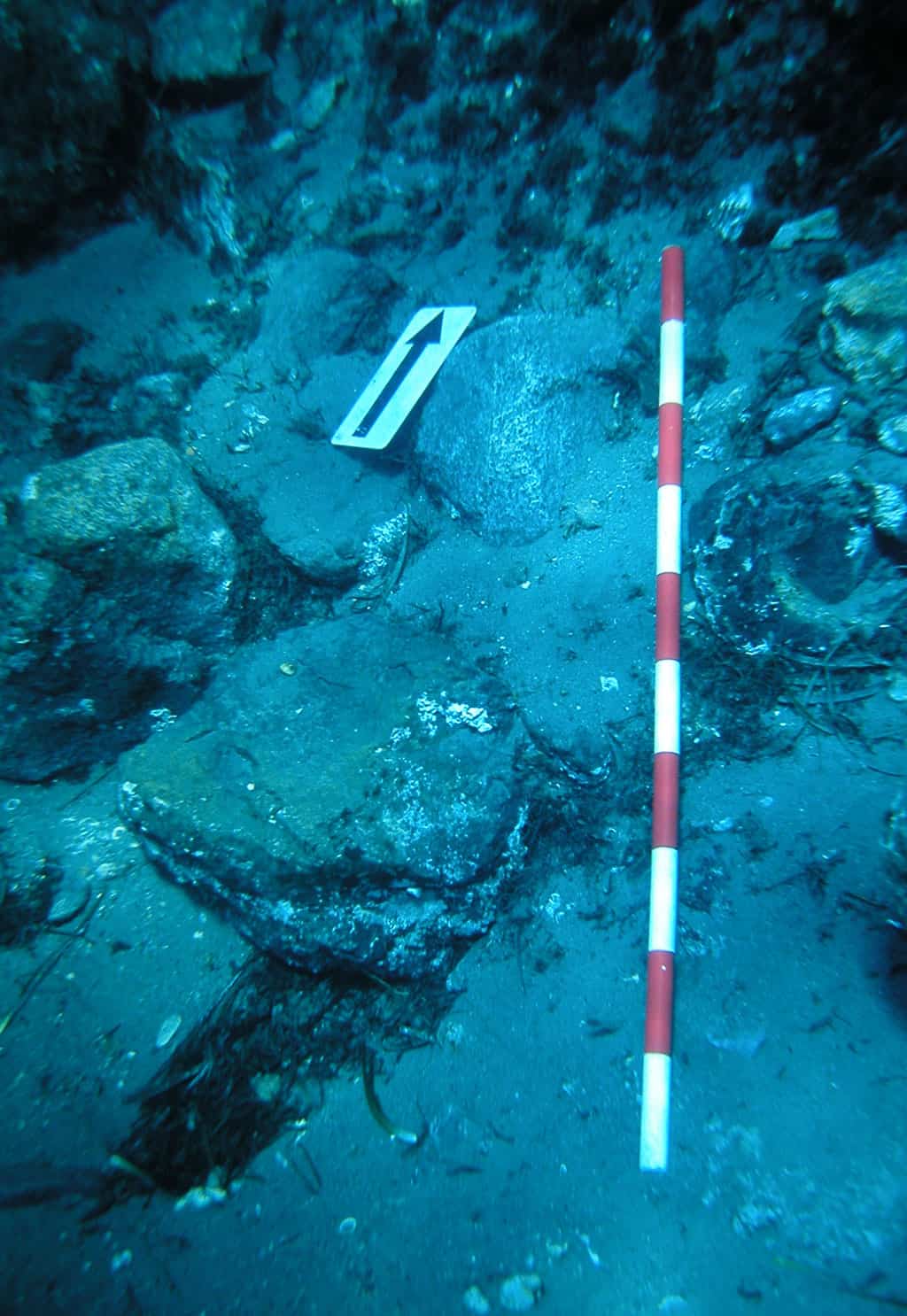 Sualtı Araştırması